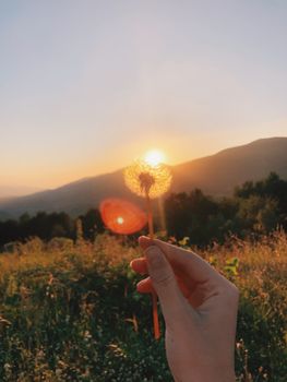 A hand holding a dandelion against a beautiful sunset in the hills of Bursa, Turkey.