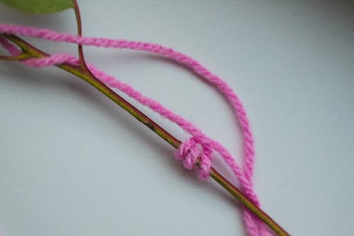 Purple and White Rope on White Surface