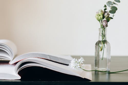 Open Books Beside Glass Vase with Flowers on a Black Surface