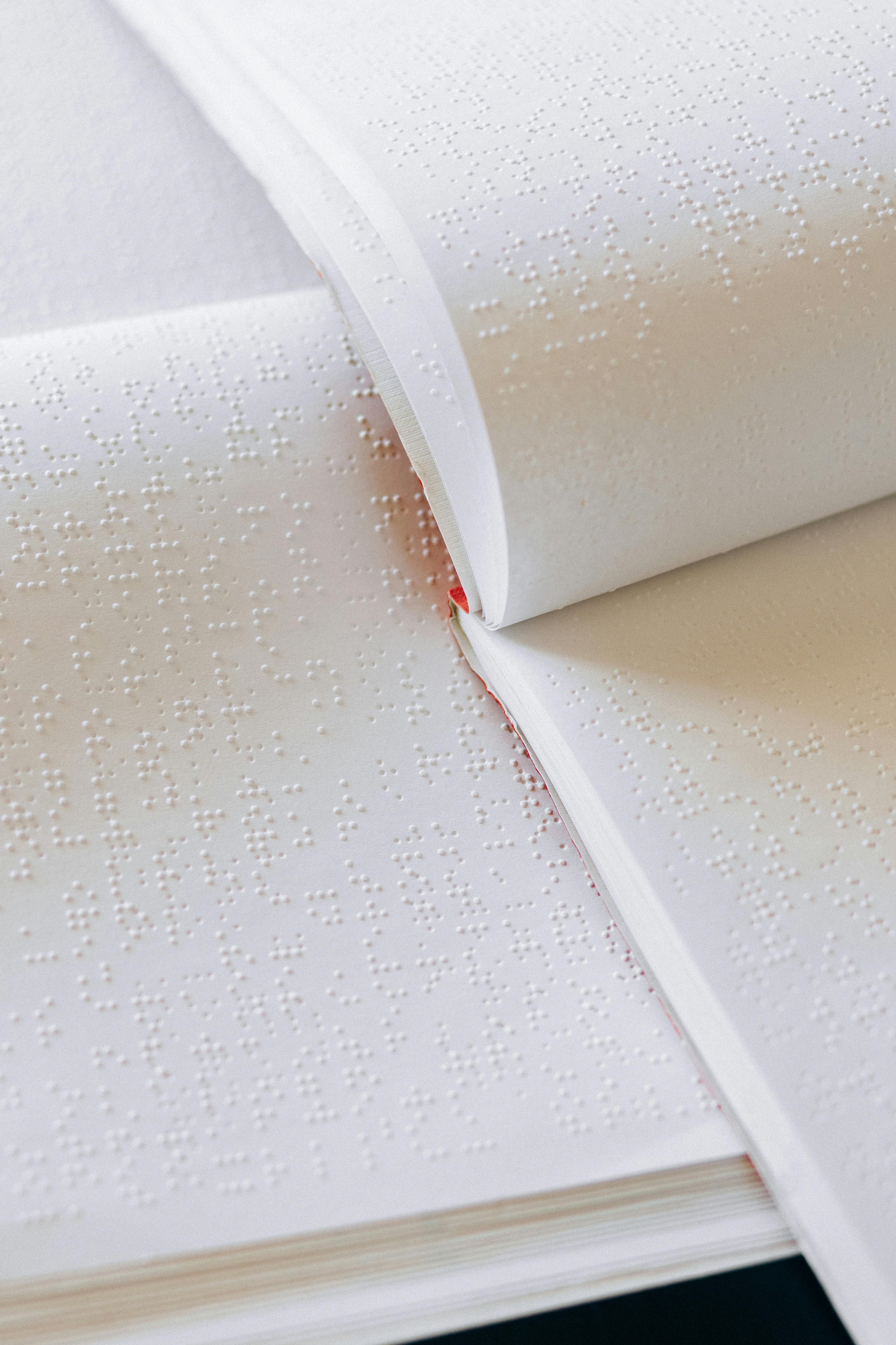 Braille Library Project - Image 3