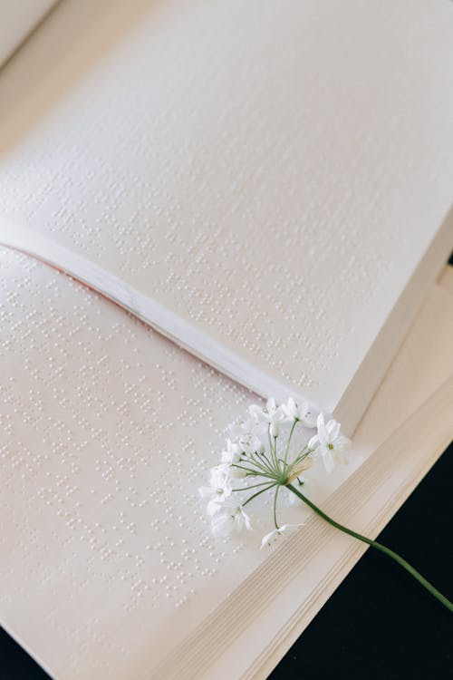 Free A Blooming Flower on Braille Book Stock Photo