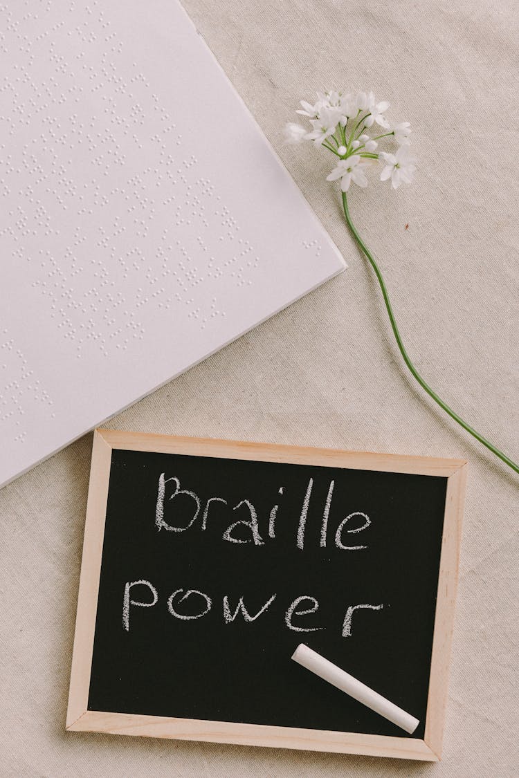 Flatlay Of A Braille Book And Flower