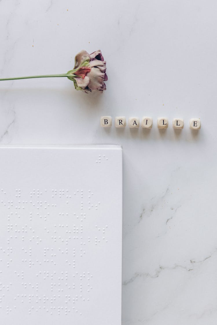 A Dry Flower And Braille Book