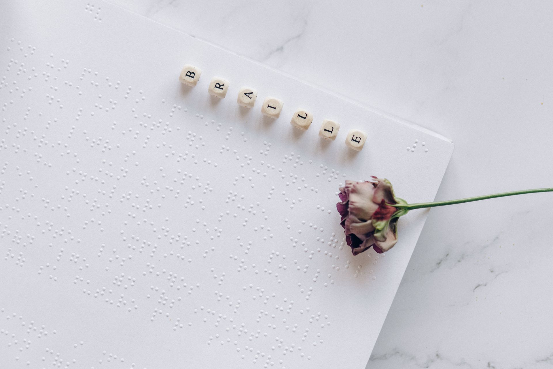 A Rose on a Braille Book