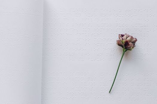 A Rose on a Braille Book