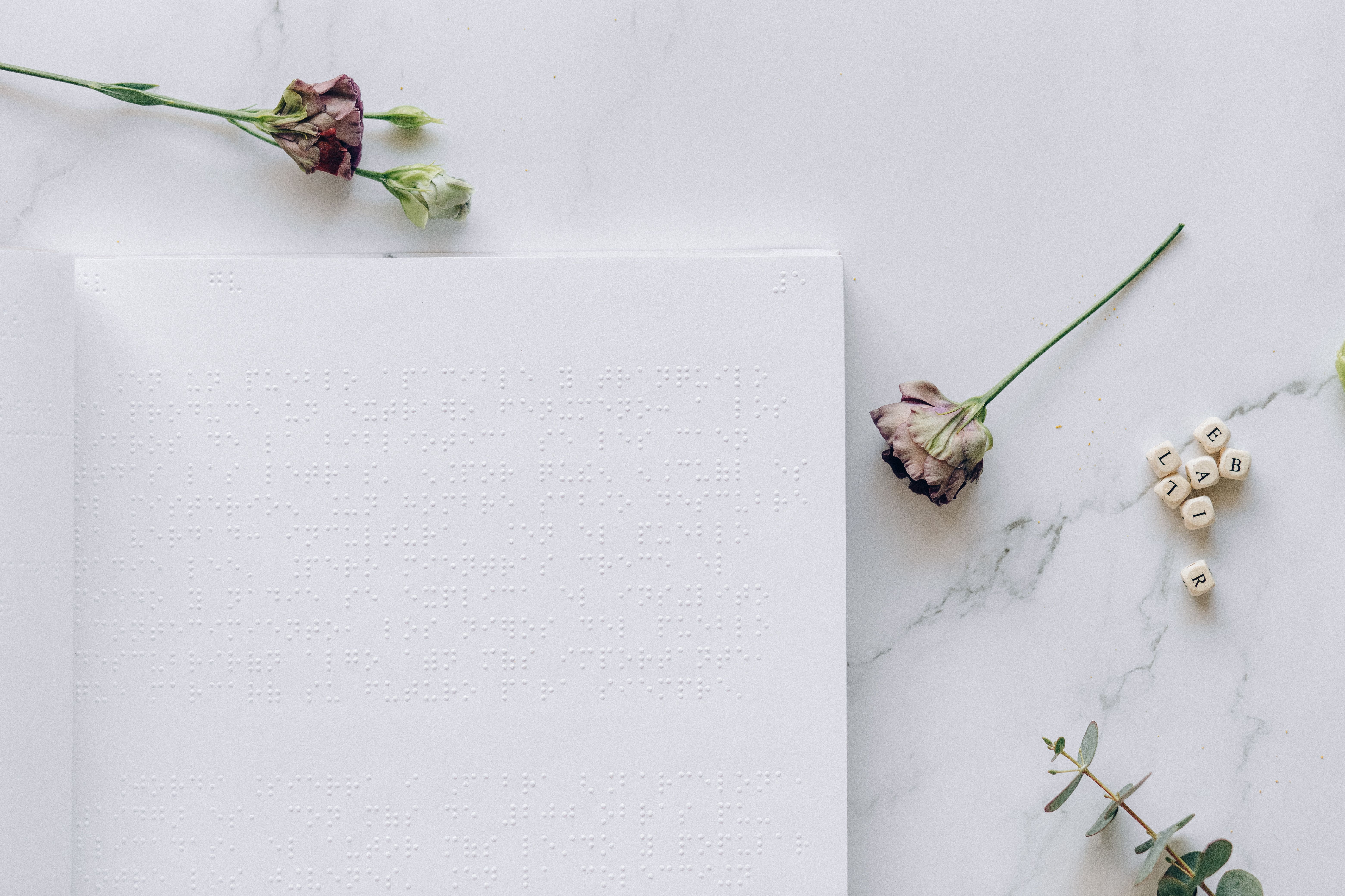  Iulius Gardens se transformă într-un poem vizual cu peste 20 de instalații florale unice la 'Florall – Festivalul Artei Florale' din Timișoara.