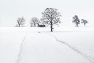 冬日雪景宁静，树木挂霜，木屋静立