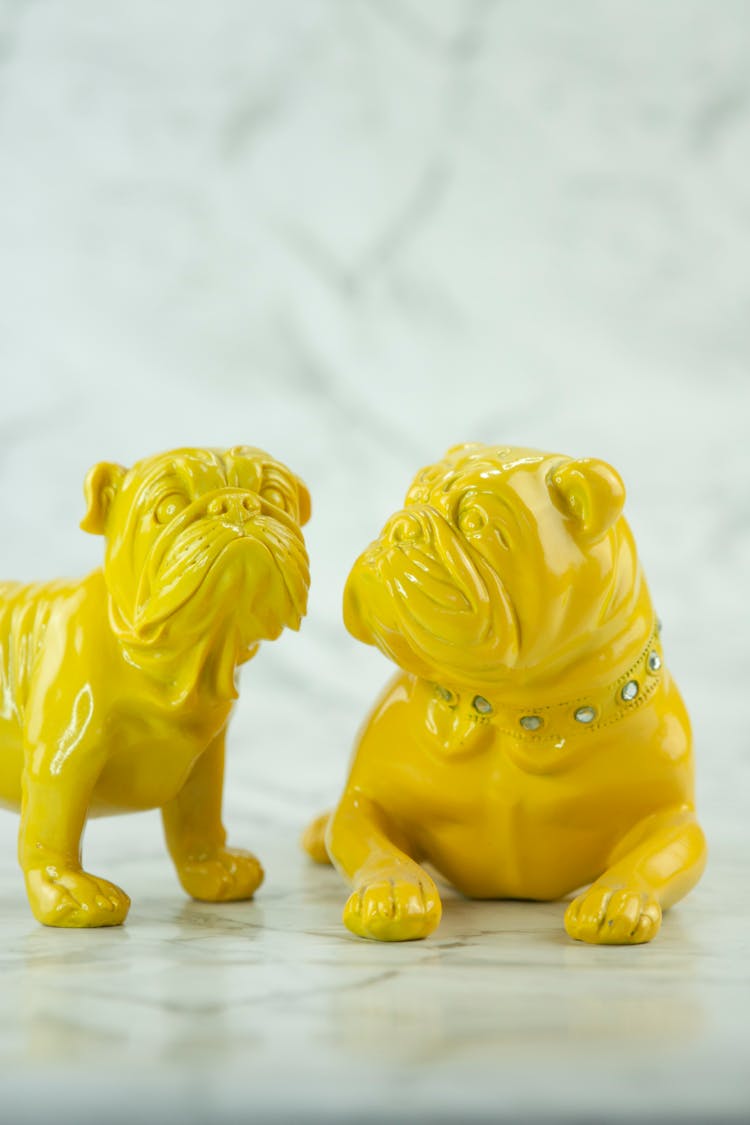 Small Yellow Toy Dogs On White Background