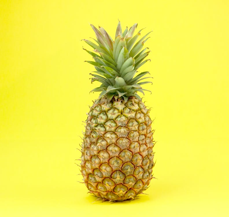Isolated whole ripe pineapple with long green leaves placed on bright yellow background