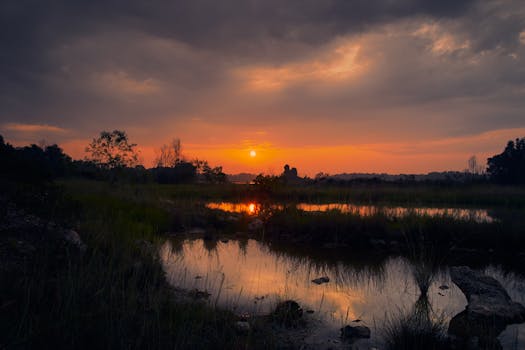 Peaceful sunrise over a serene marshland in Banting, Malaysia, reflecting vibrant skies.