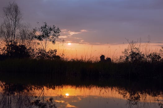 A calming sunrise over a reflective lake in Banting, Malaysia, capturing nature's beauty.