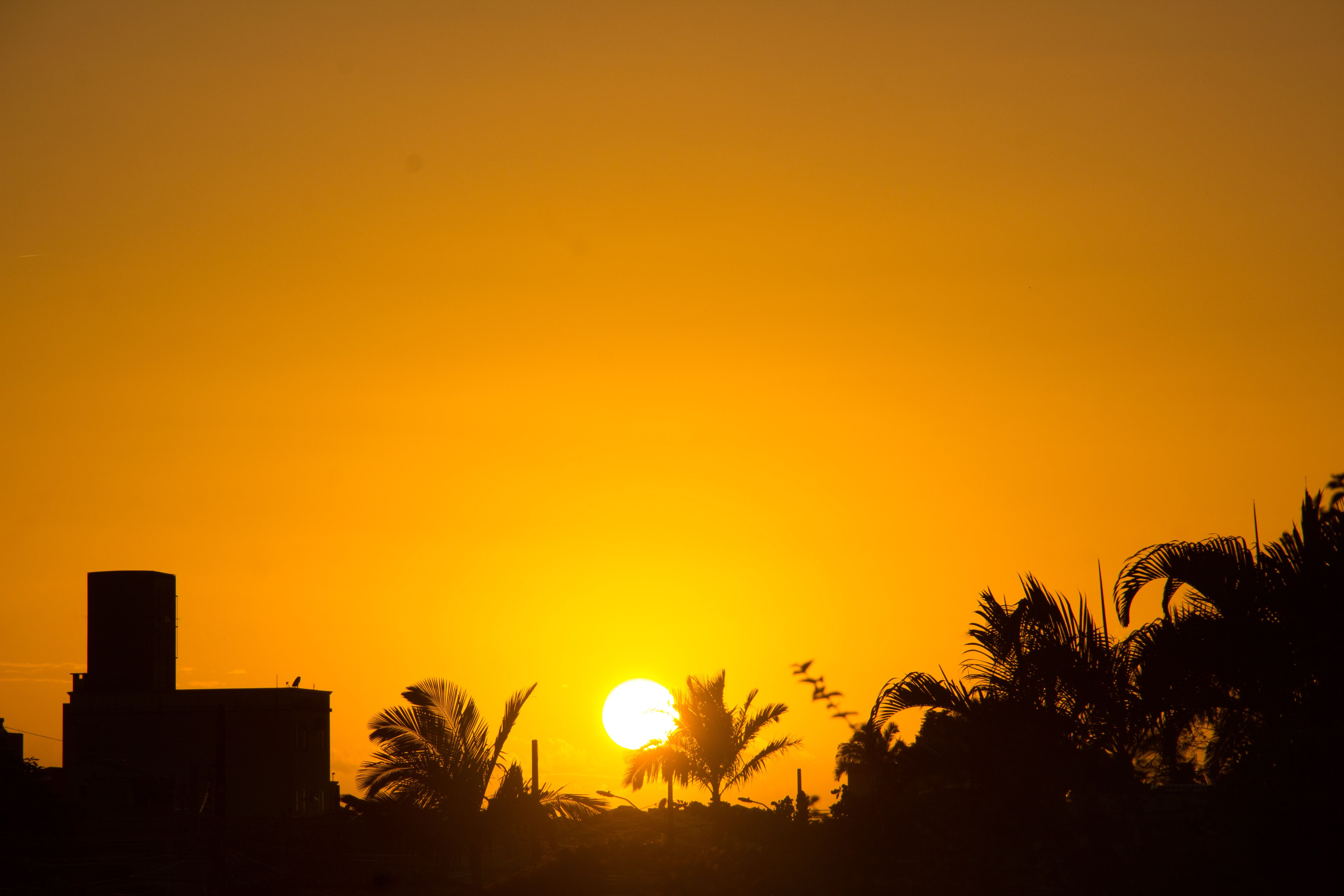 Pessoa feliz recebendo luz natural da manhã ao ar livre