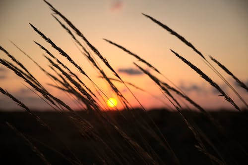 Základová fotografie zdarma na téma detail, noc, sluneční světlo