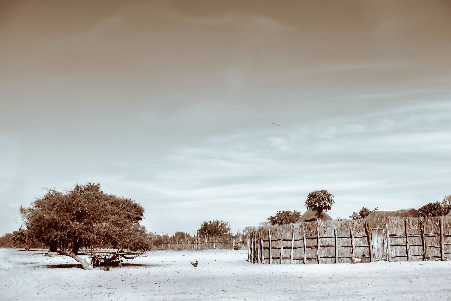 Vintage-toned landscape of a village in Namibia showcasing natural and rural beauty.