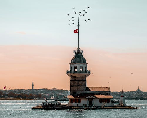 Imagine de stoc gratuită din curcan, insuliță, Istanbul