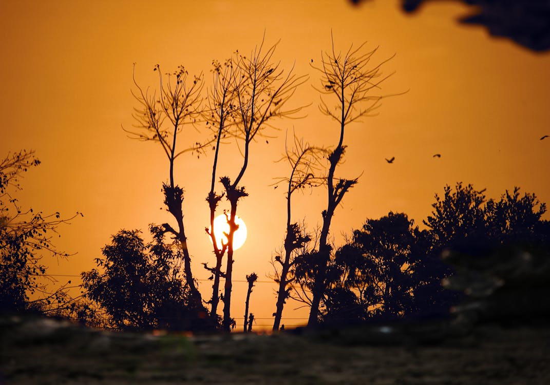 Silhouette De Pantalon Au Coucher Du Soleil