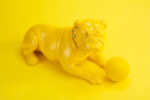 From above of yellow ceramic statuette of bulldog with ball against yellow background
