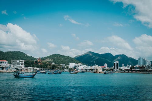 ağaçlar, bulutlar, deniz içeren Ücretsiz stok fotoğraf