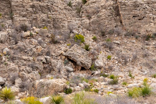 Free Close-Up Photo Of A Rocky Mountain Stock Photo