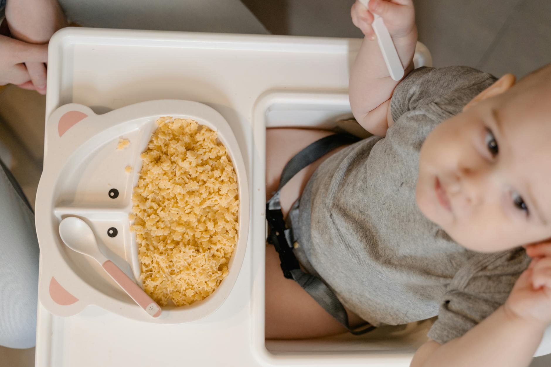 A baby sitting in a high chair with a plate of scrambled eggs, ready to eat.