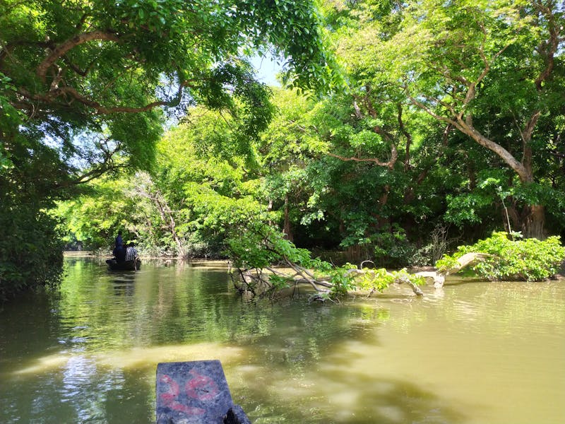 Pharmacy cleaning Toronto