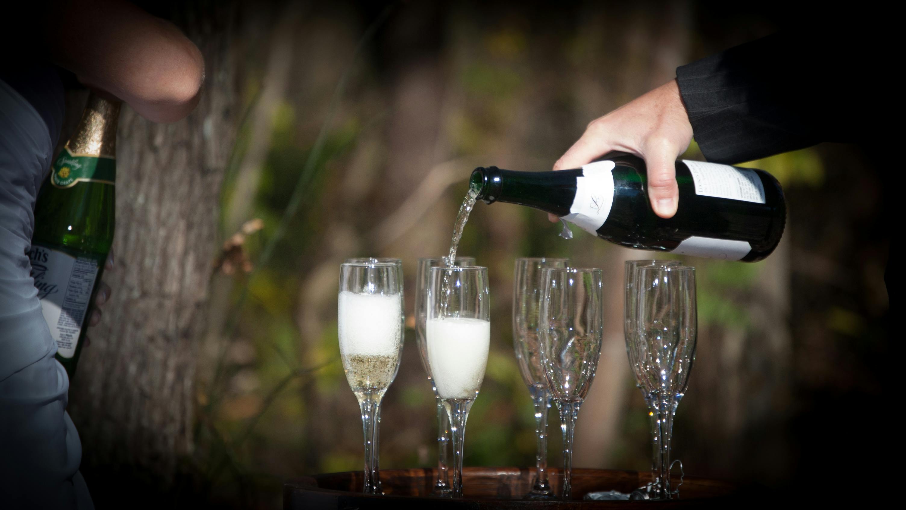 Free stock photo of champagne glasses, wedding