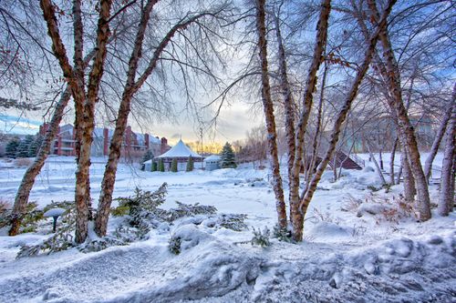 Free A picturesque winter park landscape at sunrise with snow-covered trees and buildings. Stock Photo