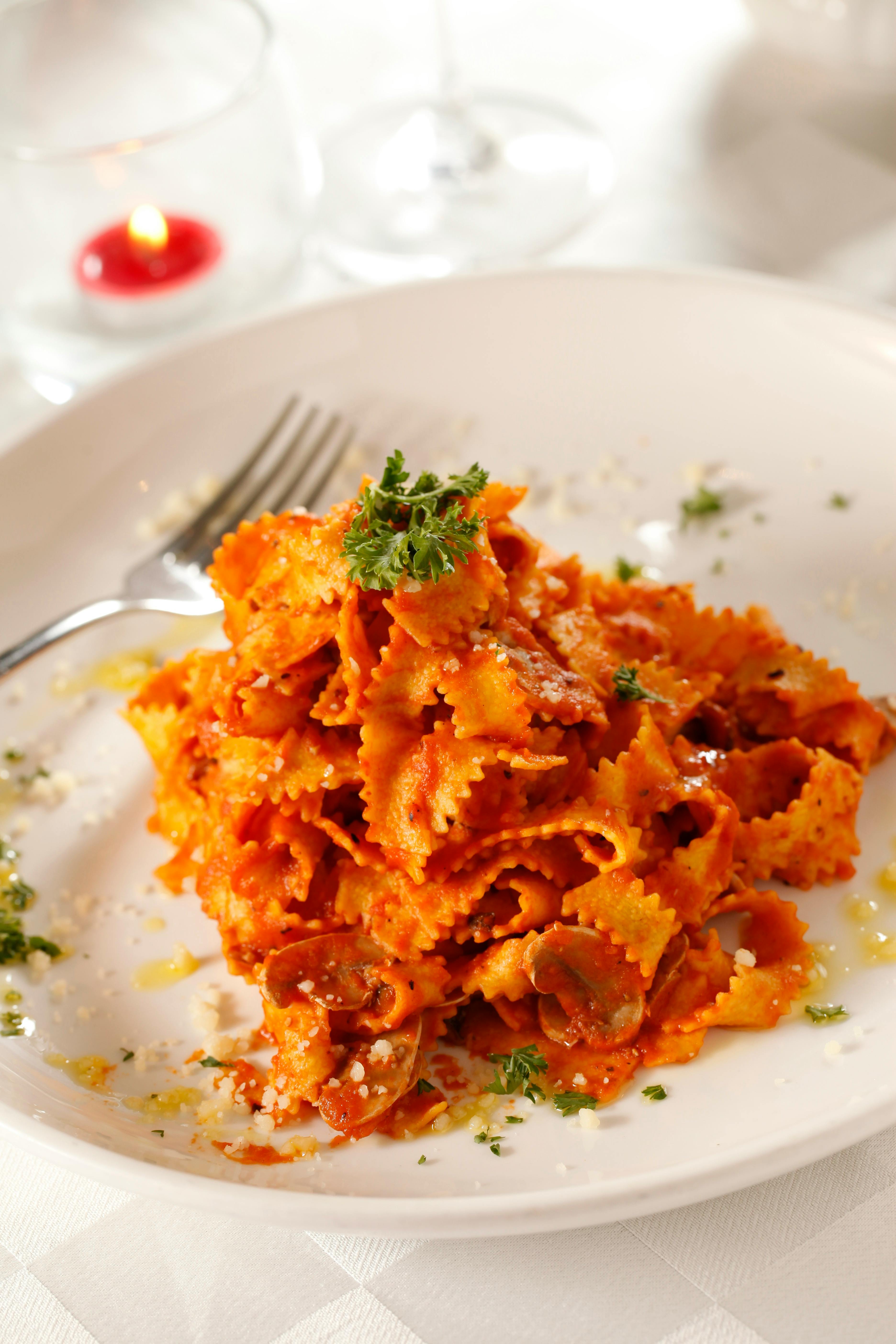 White Sauce Pasta Photos, Download The BEST Free White Sauce Pasta