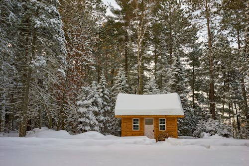 Bruin Houten Huis