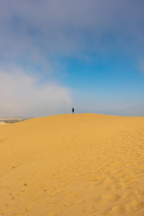 Free A solitary person stands atop golden sand dunes against a blue sky at Wilsons Promontory, Australia. Stock Photo