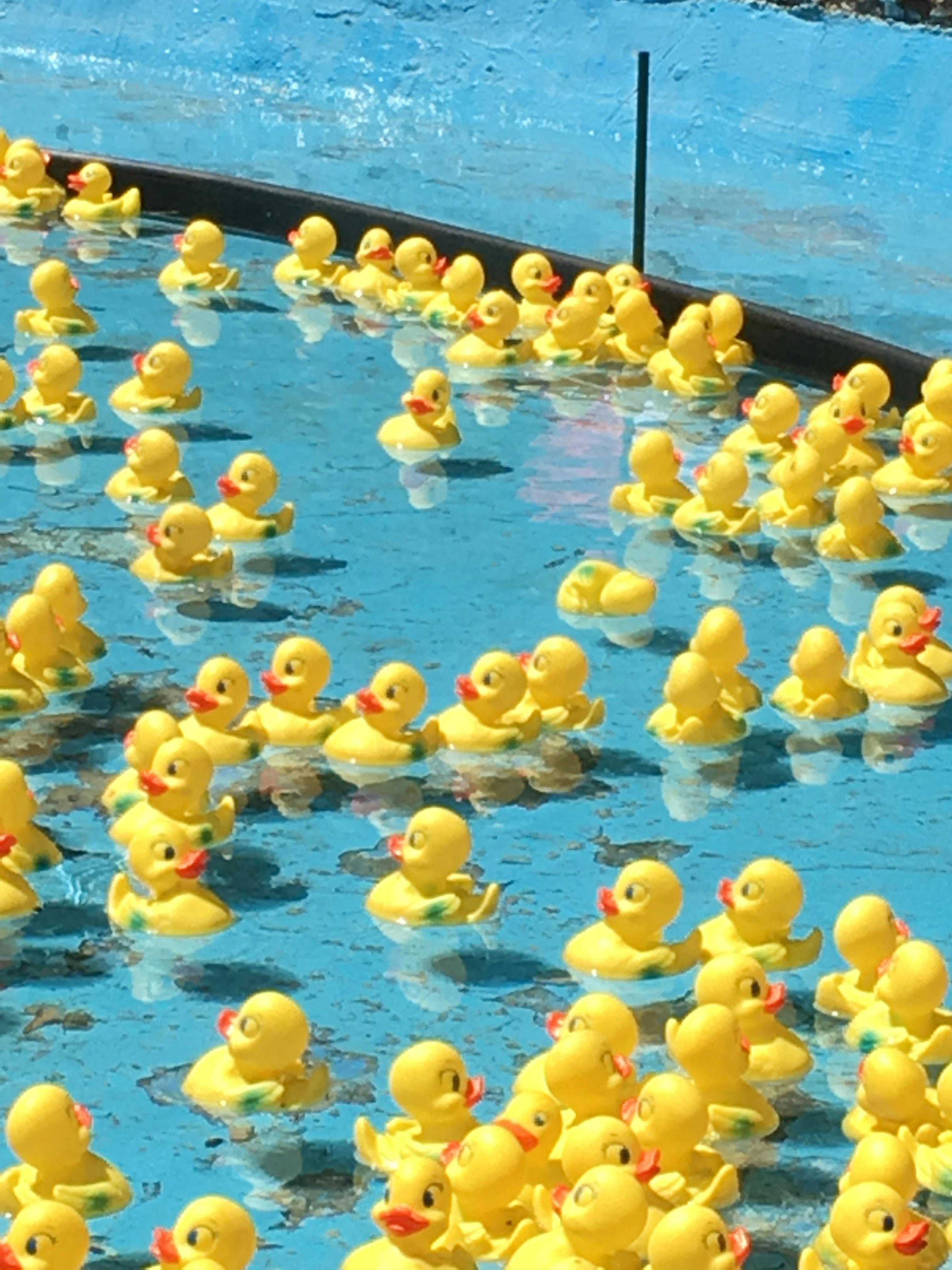 Chocolate lava cake with vanilla gelato