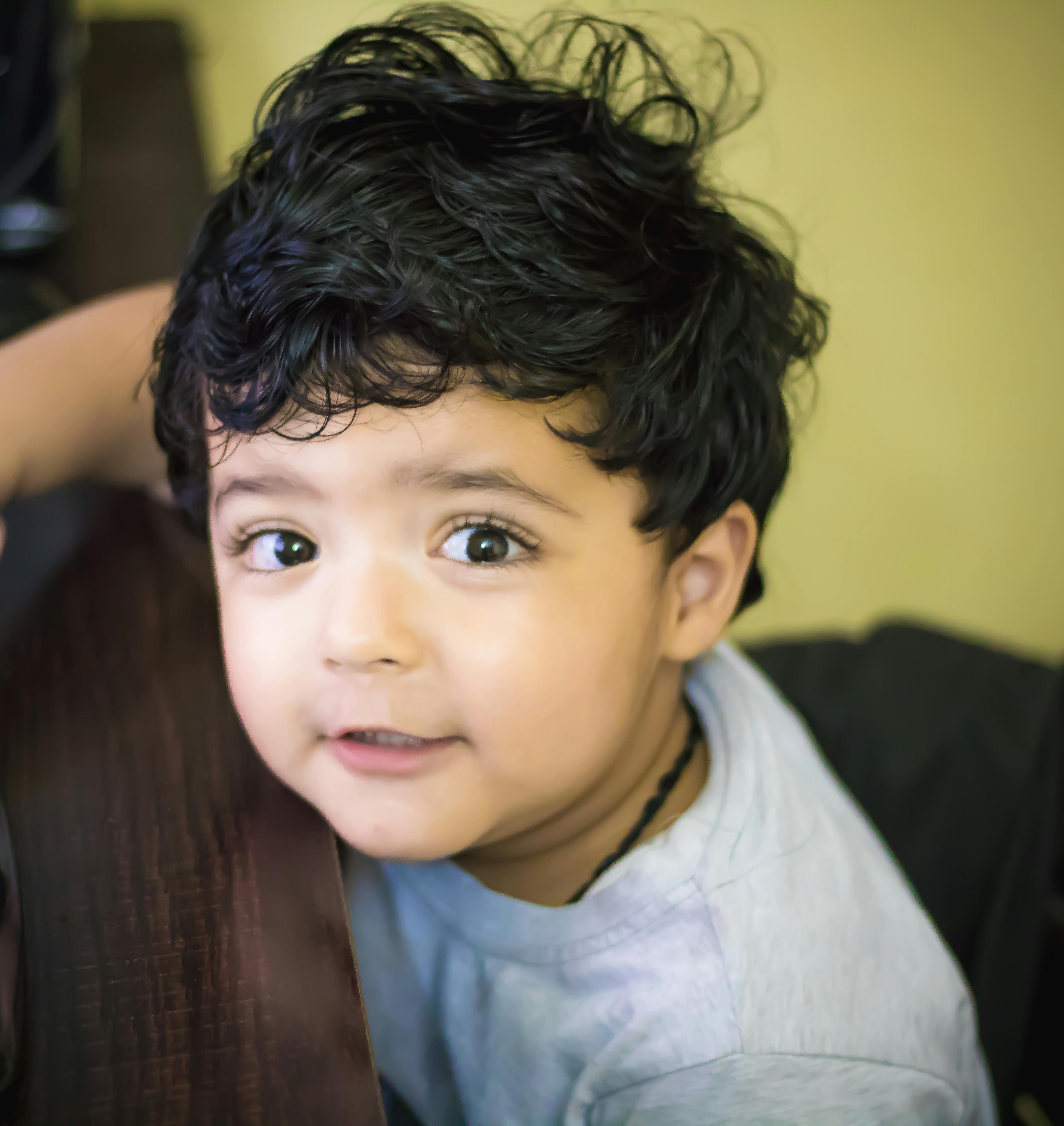 Free stock photo of boy, boys, child