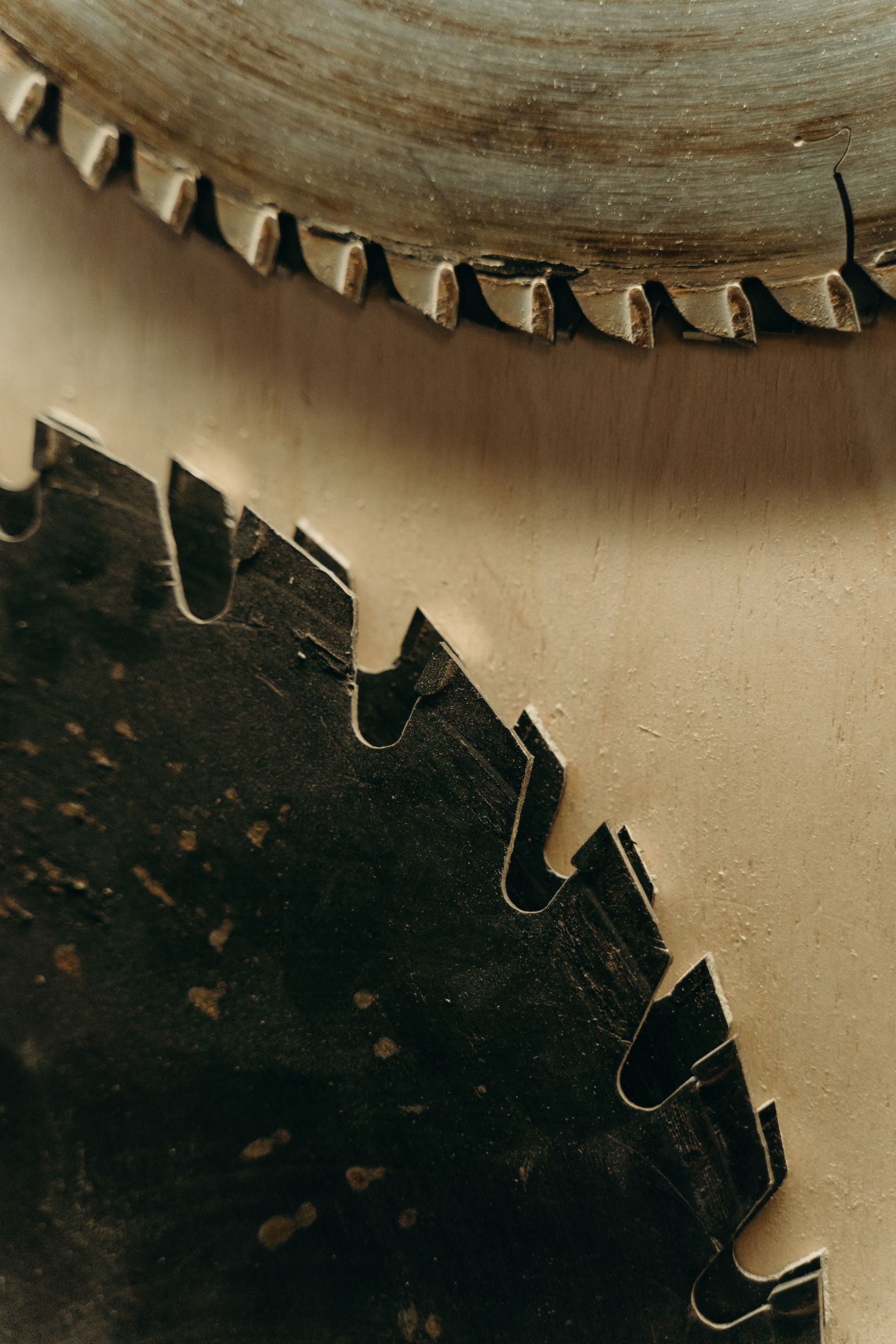 Close view of circular saw blades stored in a workshop
