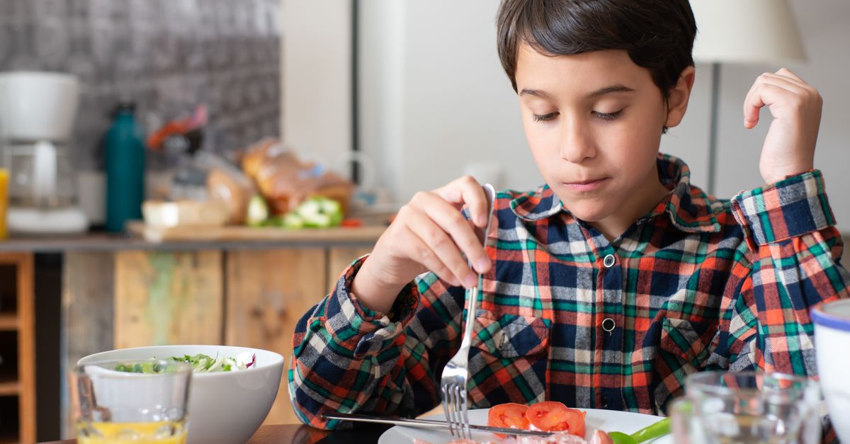 Safeguarding Summer Meals Amid Food Recalls and Outbreaks