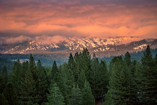 白雪皑皑的山脉、郁郁葱葱的松林和迷人的日落，映衬着充满活力的天空