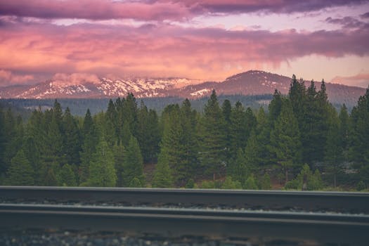 铁轨上松树与山脉间的戏剧性日出