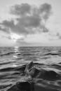 Grayscale Photo of Water Surface
