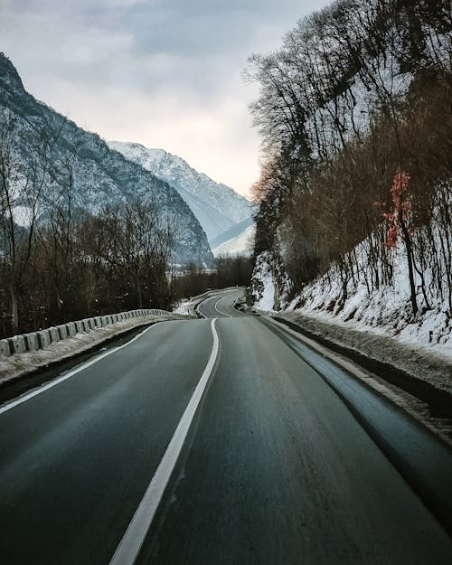 Kostenloses Stock Foto zu bäume, berge, kalt