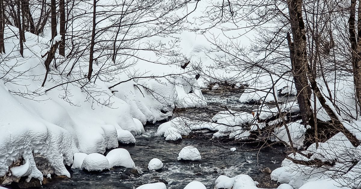View of a Stream in Winter · Free Stock Photo