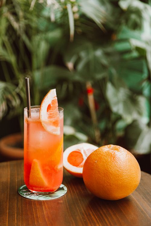 Free A vibrant glass of citrus juice with grapefruit garnish by lush greenery. Stock Photo