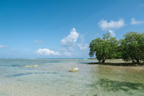 Free Peaceful coastal view in Phuket, Thailand showcasing clear waters and vibrant foliage. Stock Photo