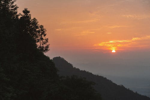 골든 아워, 산림, 산맥의 무료 스톡 사진