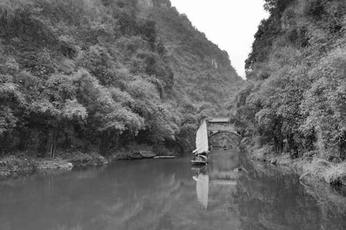 무료 강, 경치, 교통의 무료 스톡 사진