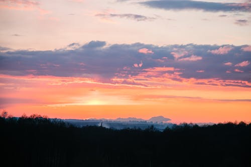 Photos gratuites de arbre, ciel maussade, coucher de soleil