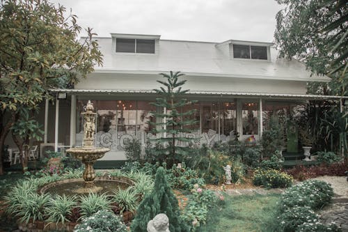 House with Plants and Fountain in Garden