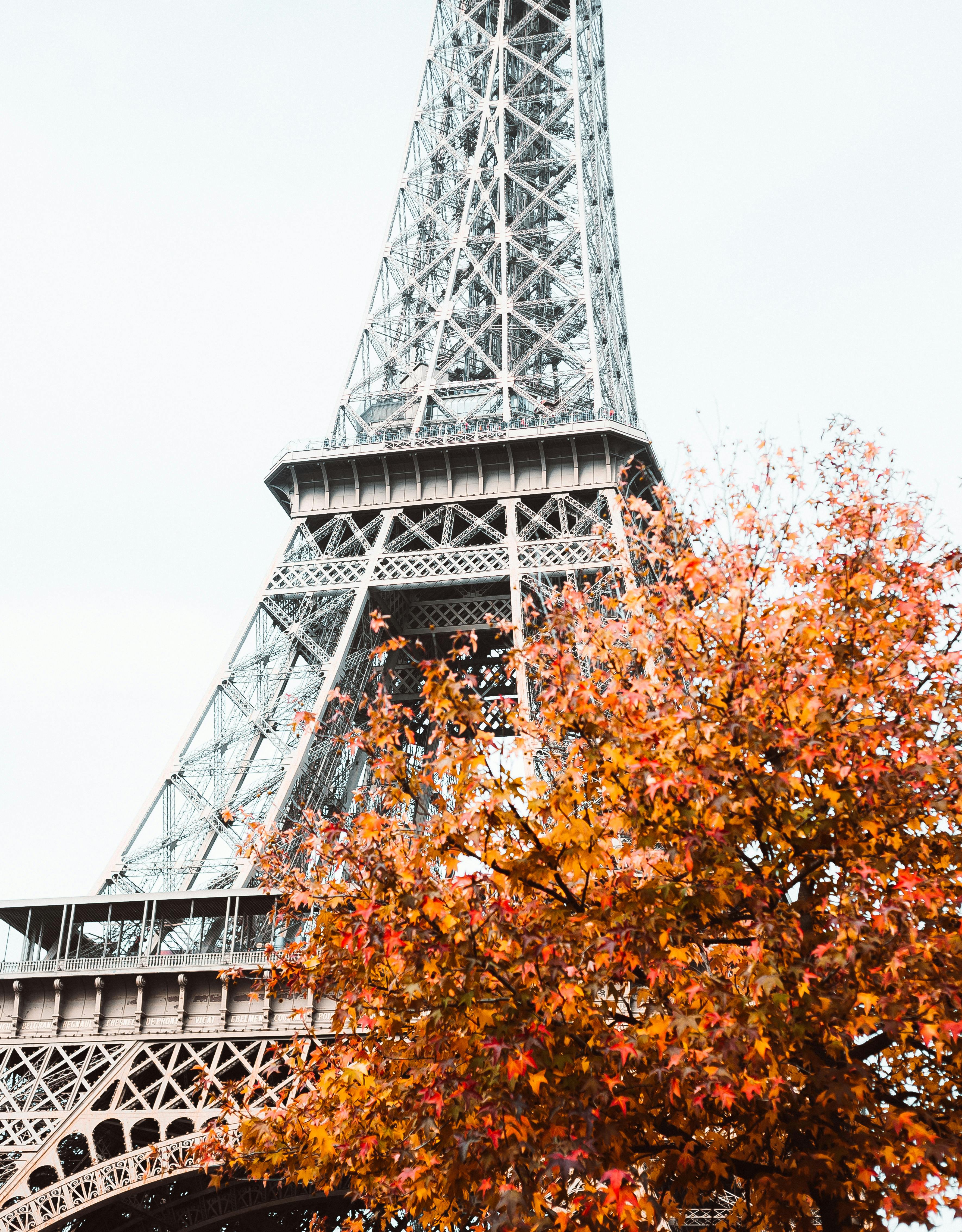 Autumn scene of Eiffel Tower in Paris with vibrant orange leaves.