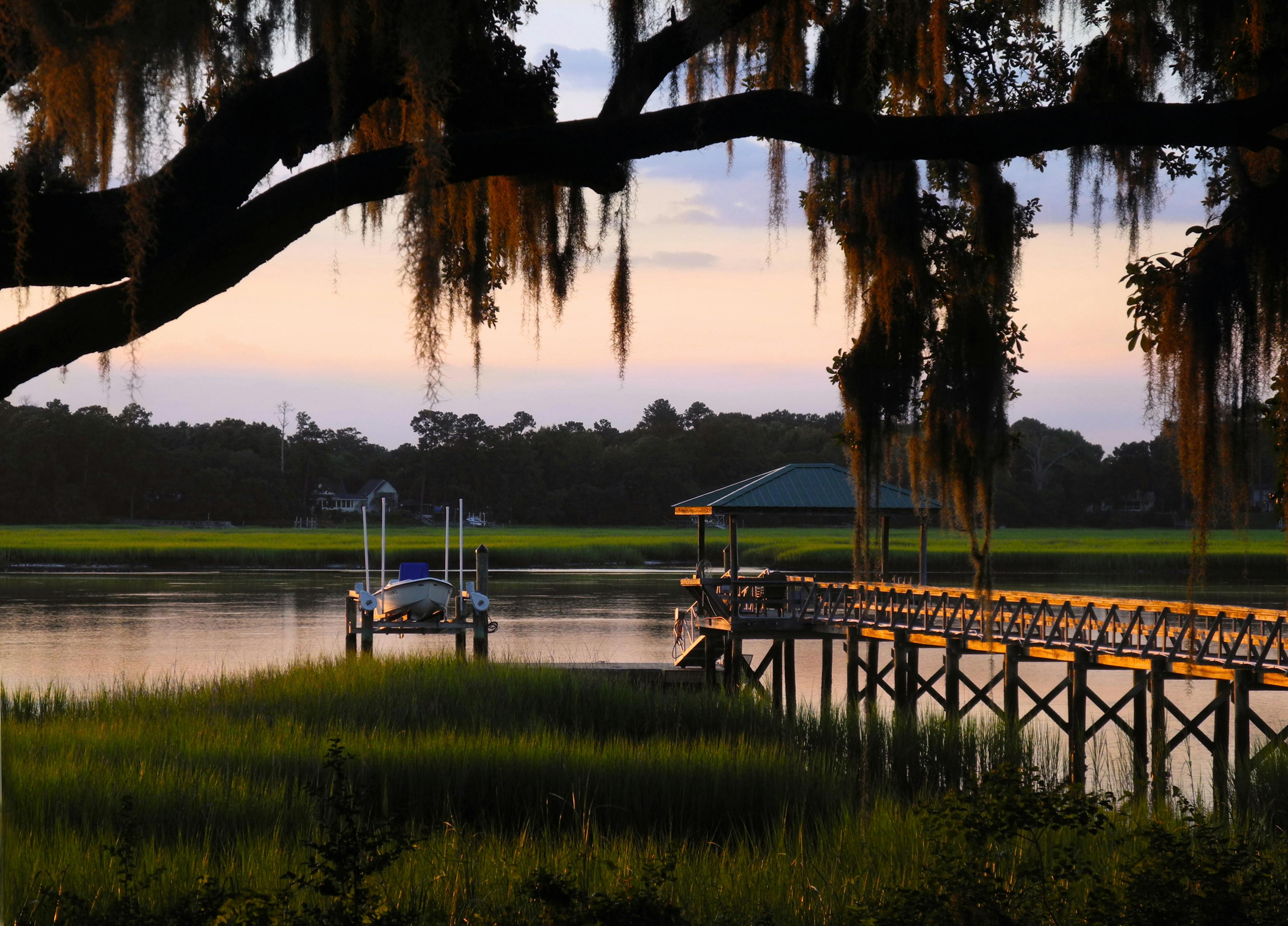 Free Stock Photo Of South Carolina Low Country