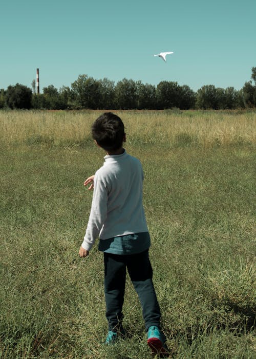 Free Boy Playing With Paper Plane On Grass Field Stock Photo