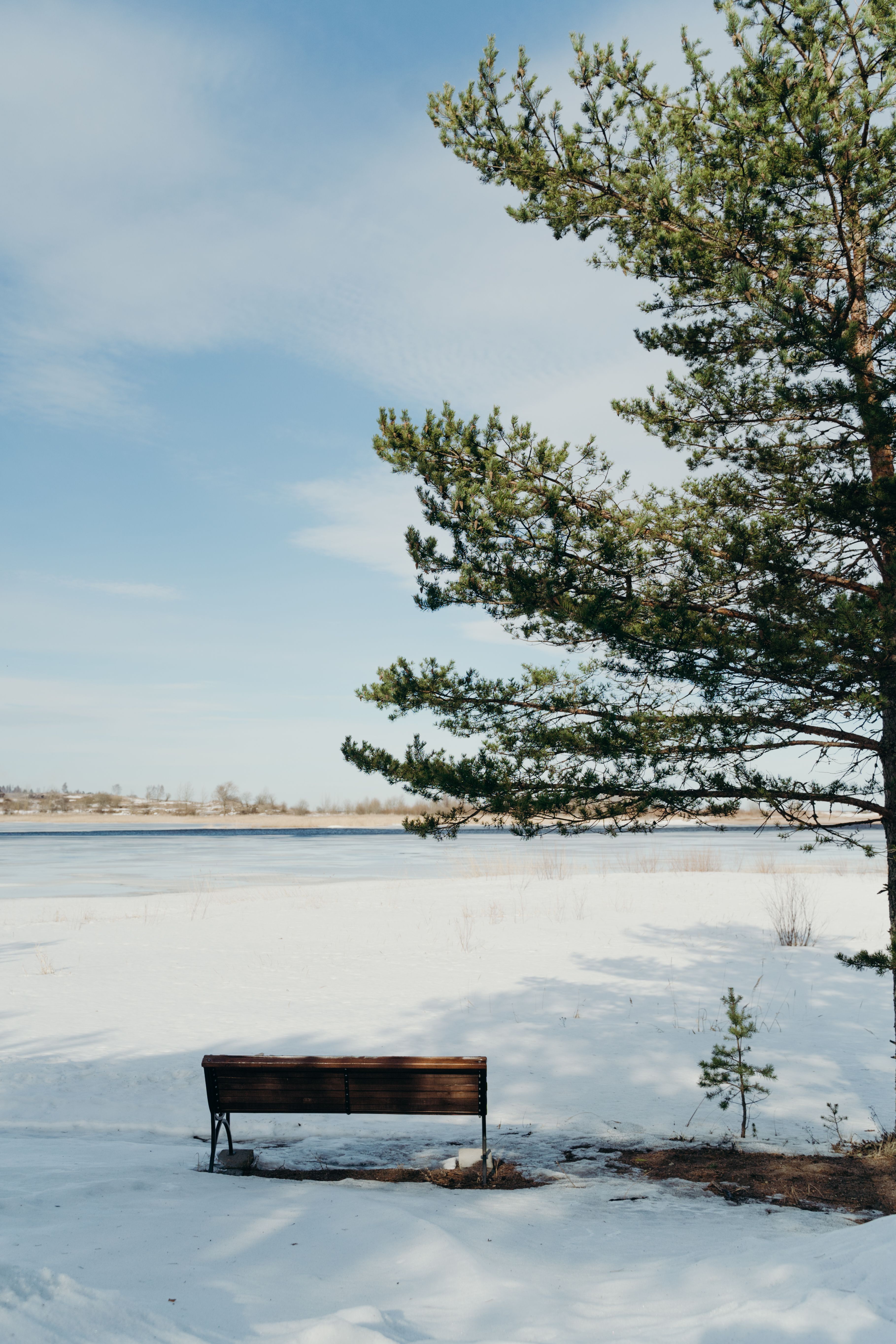A Wooden Bench on a Snow Covered Ground · Free Stock Photo