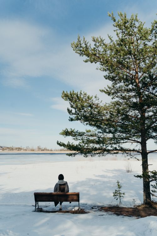 Free A solitary figure sits on a bench by a snowy lake under a pine tree, conveying tranquility. Stock Photo